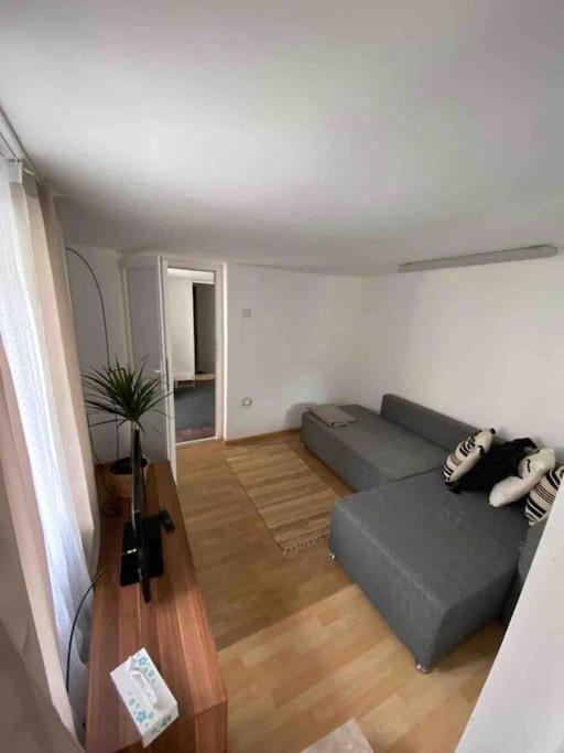 House Apartment In تيميشورا المظهر الخارجي الصورة