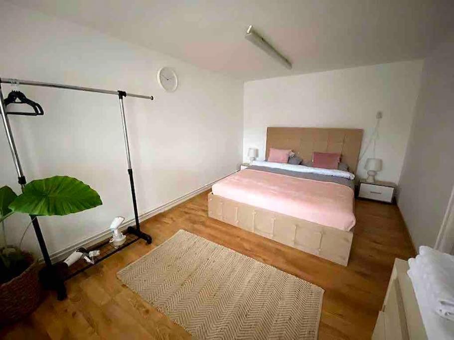 House Apartment In تيميشورا المظهر الخارجي الصورة