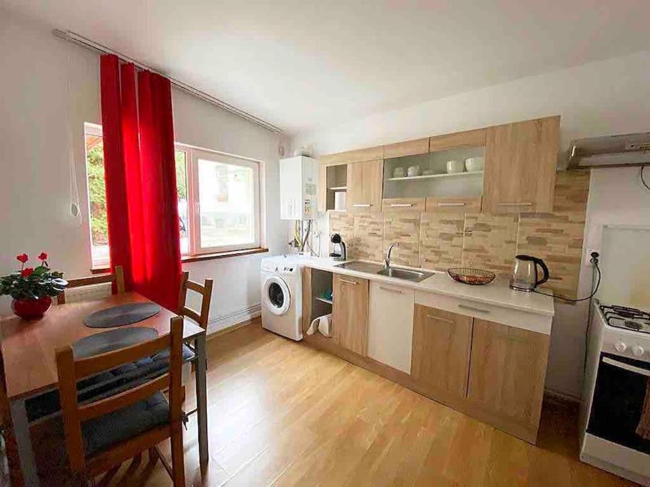 House Apartment In تيميشورا المظهر الخارجي الصورة